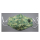 Gadżet dla gracza GOOD LOOT World of Tanks AoP Camo Green Maseczka ochronna
